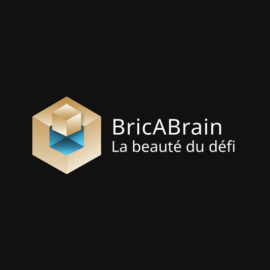 « Il n'y a rien à faire avec lui. » - bricabrain