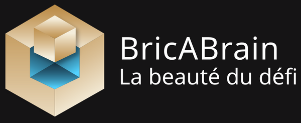 bricabrain