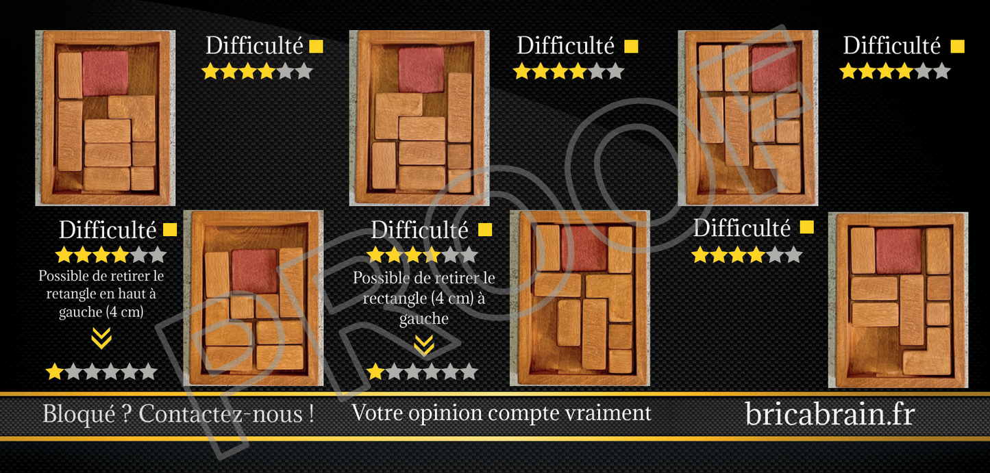 IMHOTEP : Casse-tête en bois (jusqu’à 3 niveaux de difficulté)